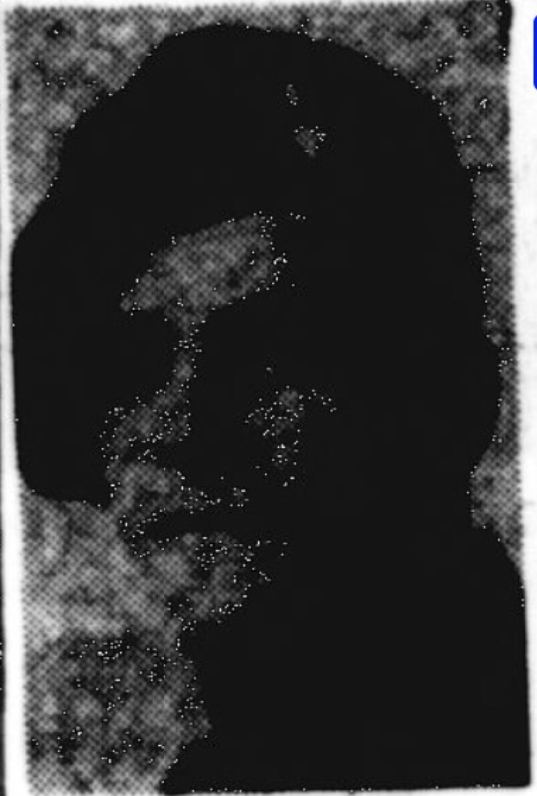 Picture of Soldier of 11th Parachute Battalion